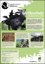 Poster zum Jahr des Gorillas